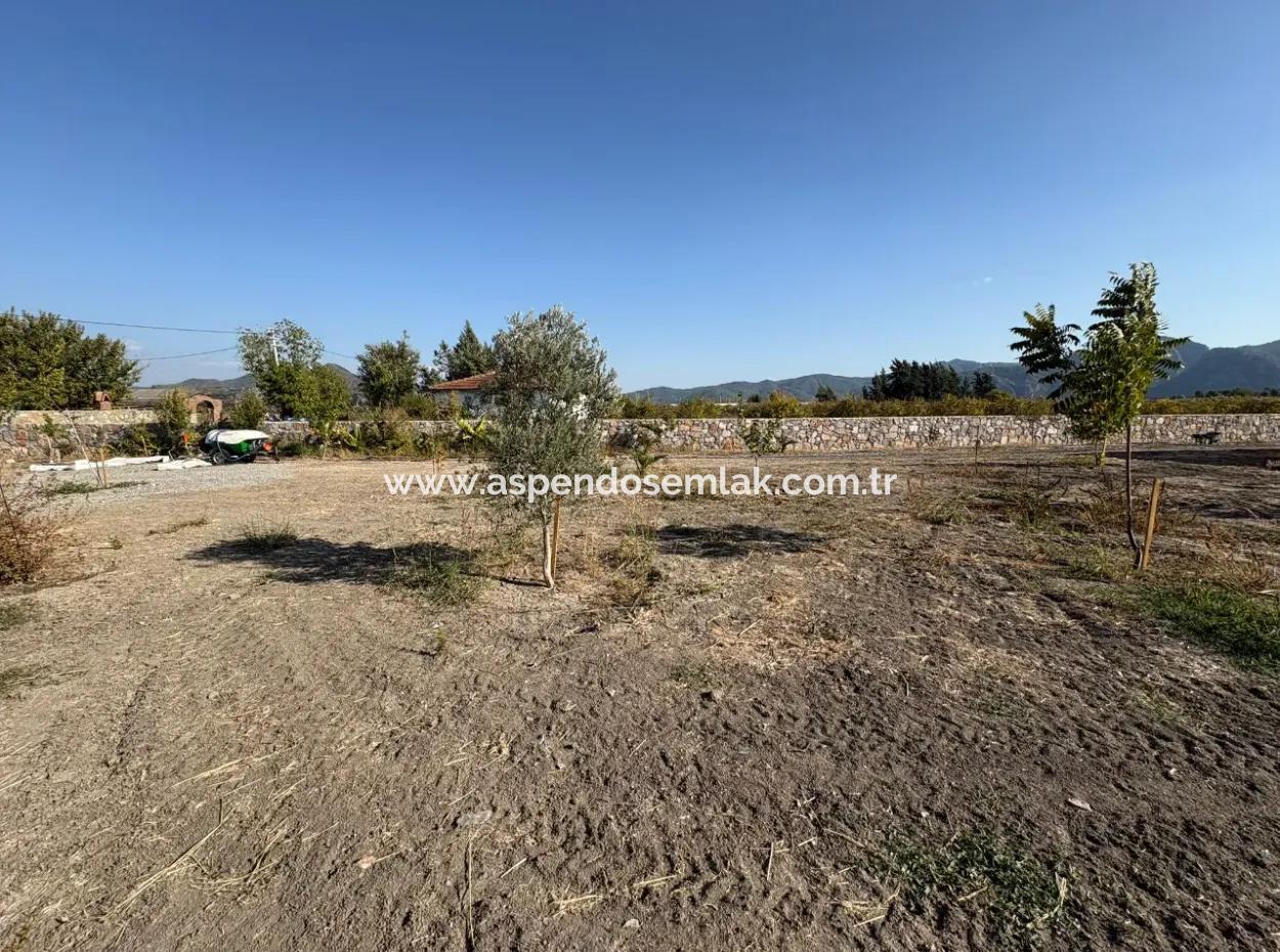 19.663M2 Farm Land And House For Sale In Eskiköy