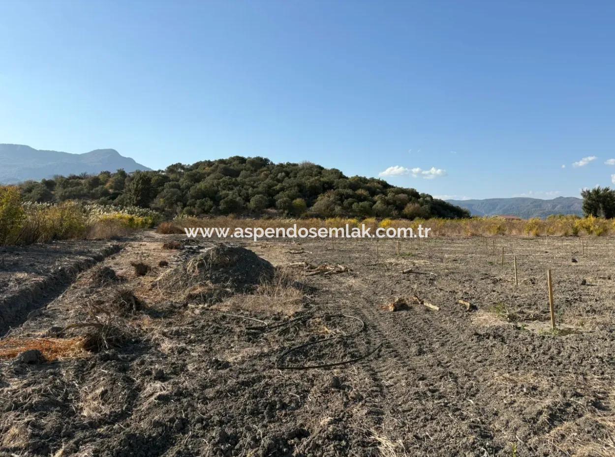 19.663M2 Farm Land And House For Sale In Eskiköy