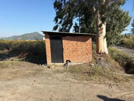 21500M2 Pomegranate Orchard For Sale In Eskiköy