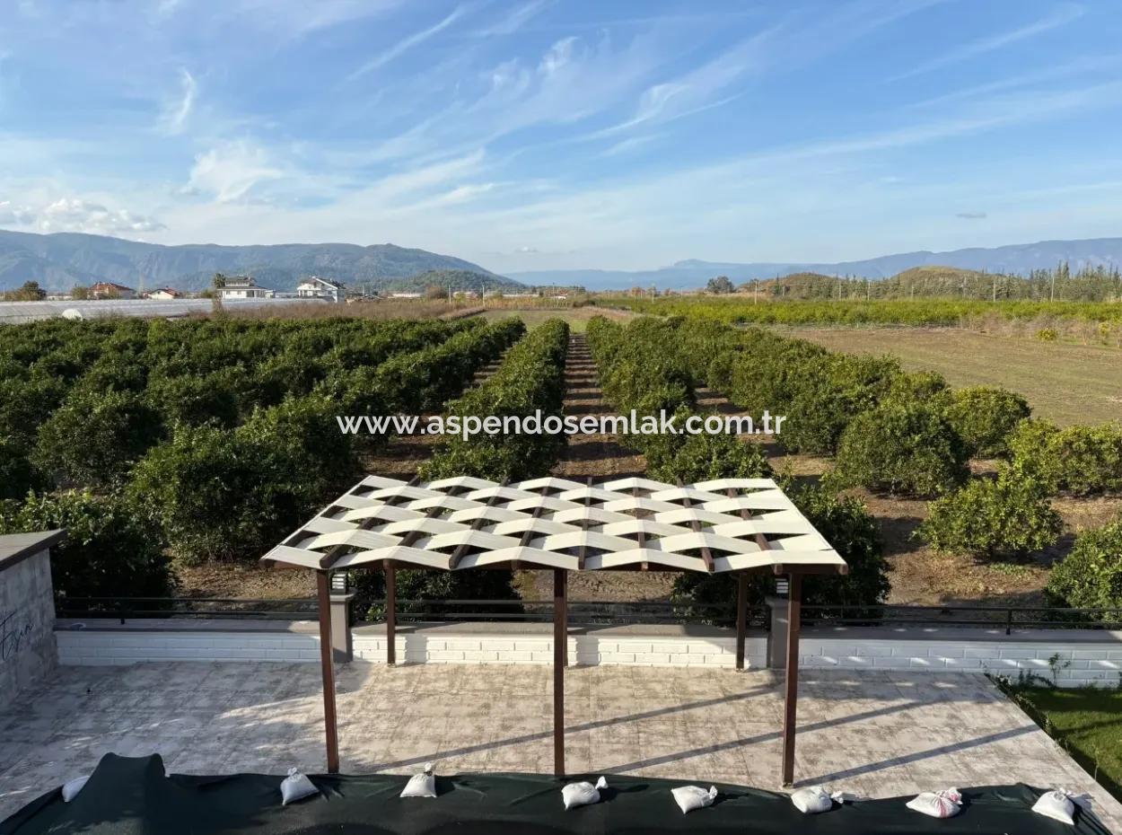 Eskiköy'de 14.136 M2 Tarla İçerisinde 4+1 Satılık Villa