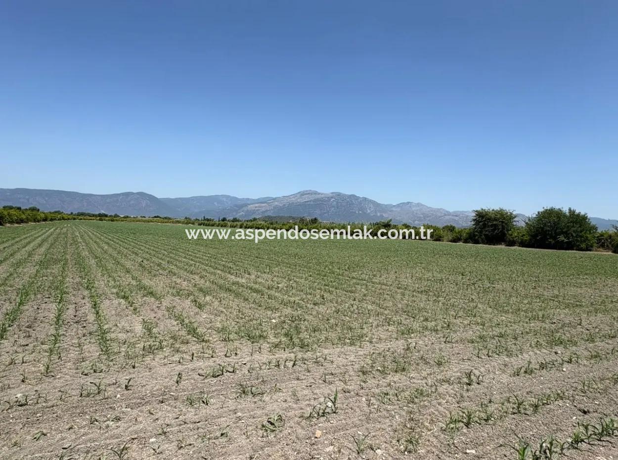 Tepearası'nda 46,550M2 Satılık Tarla