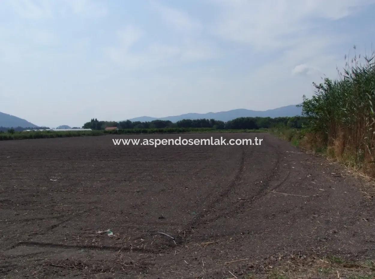 Eskiköyde Satılık Arsa Tarla Ortaca Dalyan Eskiköyde 15,760M2 Satlık Arsa Tarla