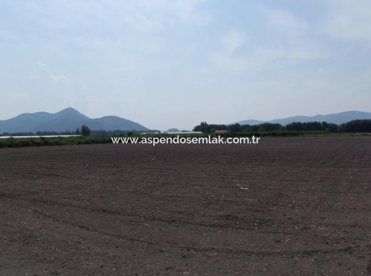 Eskiköyde Satılık Arsa Tarla Ortaca Dalyan Eskiköyde 15,760M2 Satlık Arsa Tarla