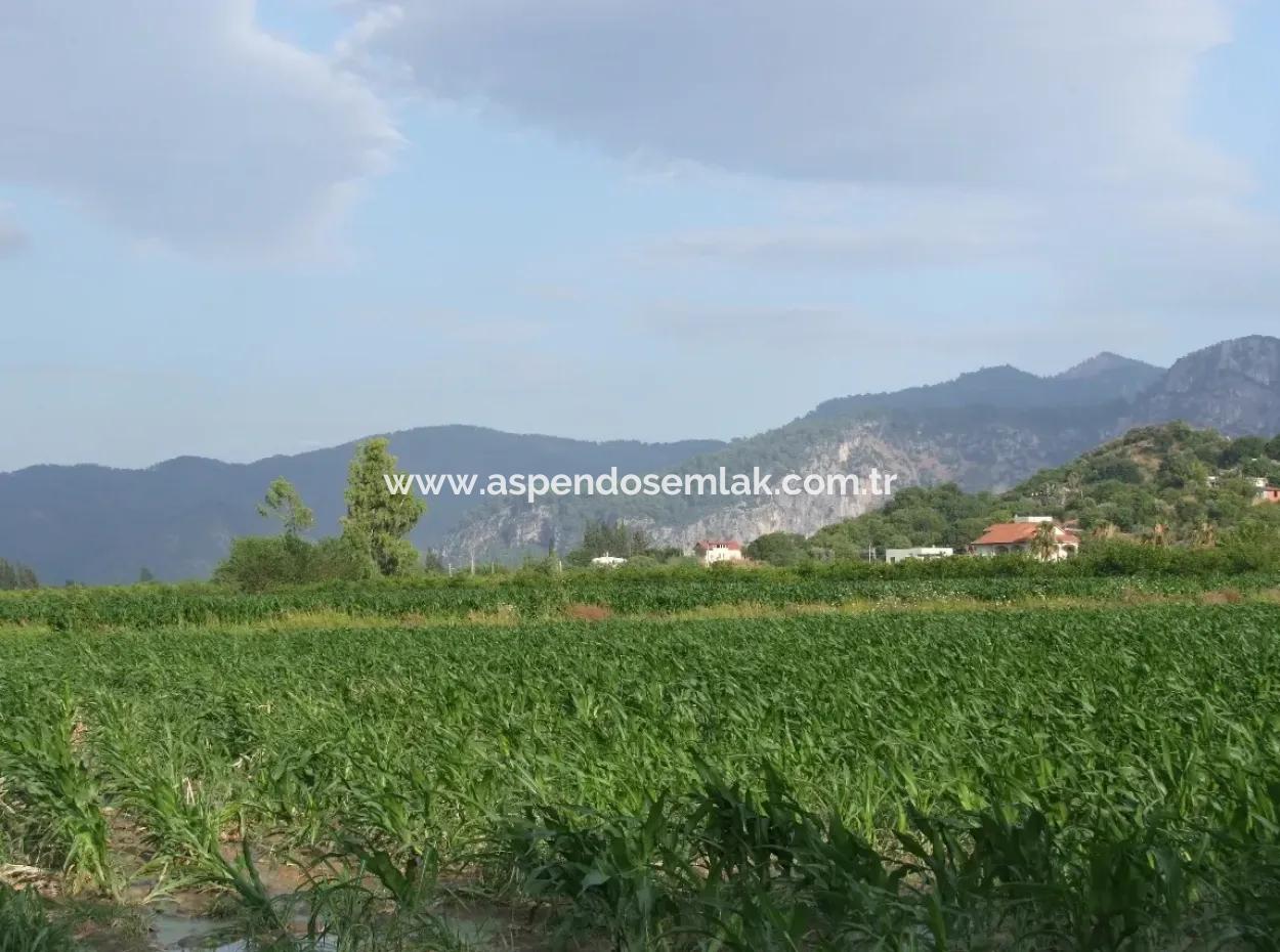 Dalyan Satılık Tarla Dalyan Merkeze Yakın 14,612M2 Satılık Tarla