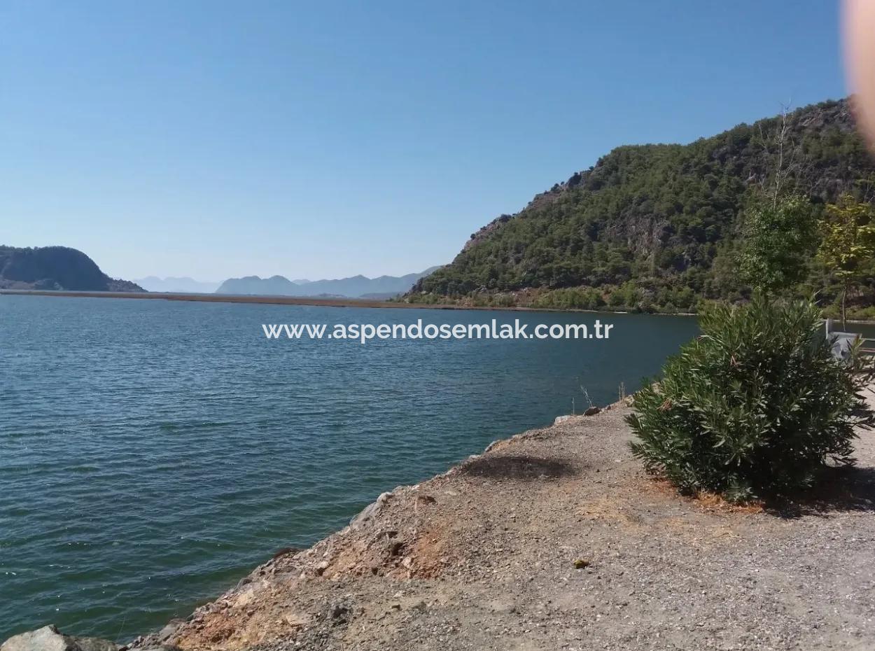 Gökbelde Satılık Arsa Dalyan İztuzu Yoluna Sıfır 7484M2 Göle Sıfır Satılık Arsa