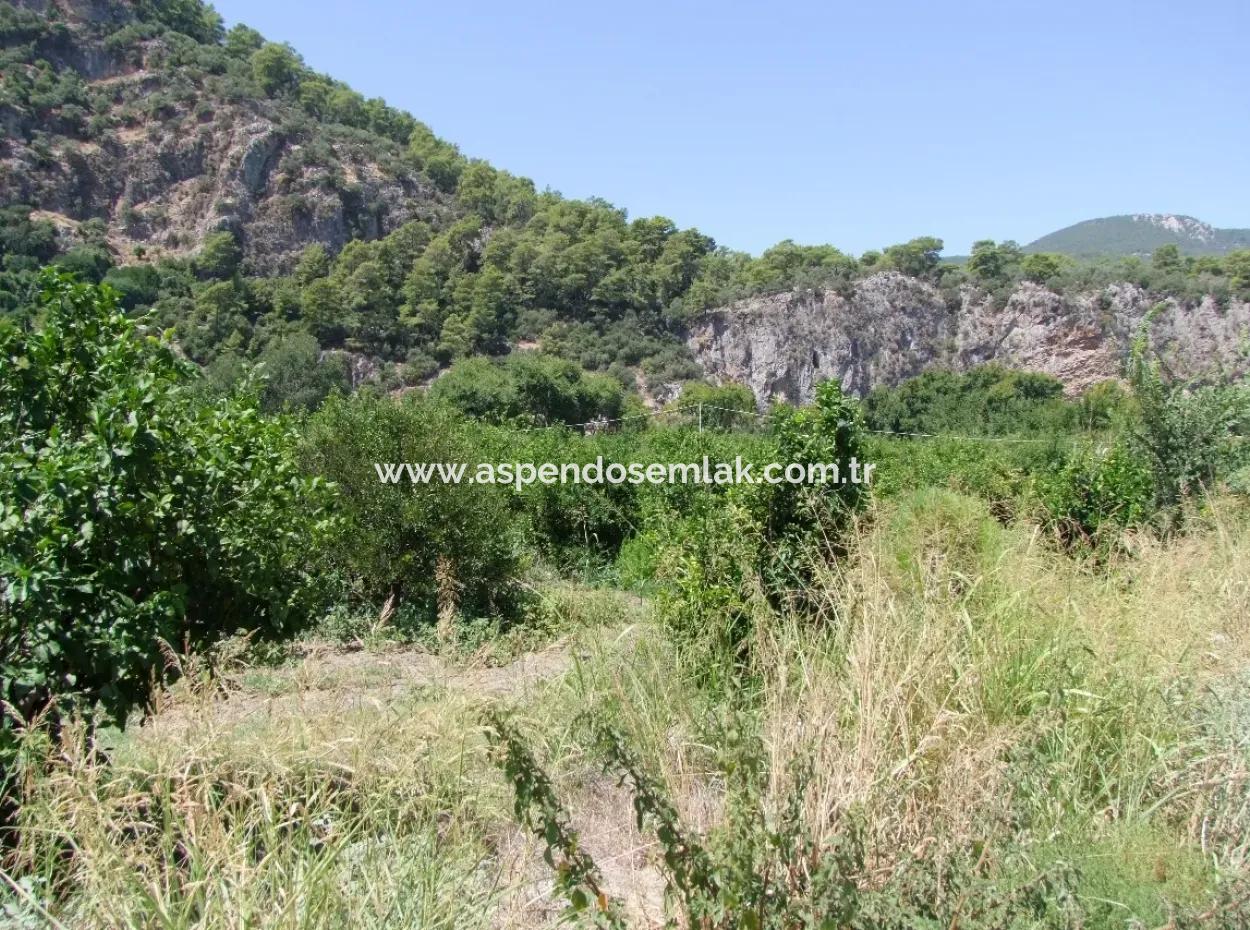 Dalyan'da Kanala Sıfır Satılık Arsa