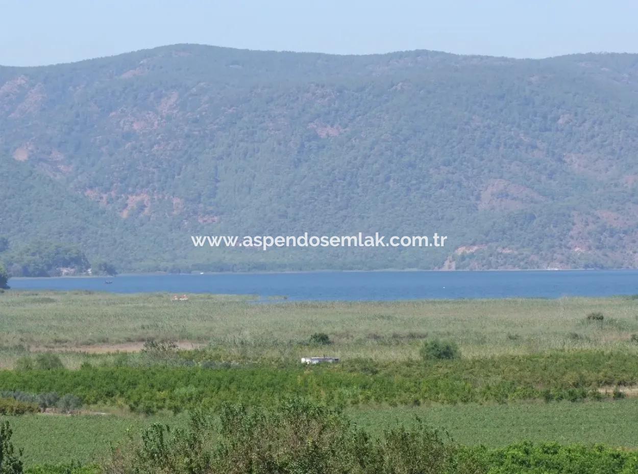Dalyan Satılık Tarla Dalyan 73410M2 Satılık Tarla