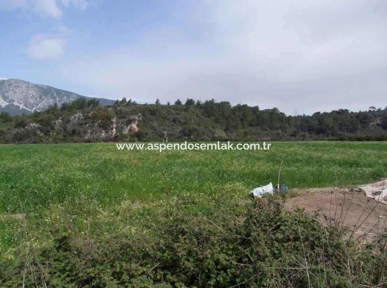 Akyaka Gökçede Satılık Arazi Denize Yakın Çiftlik İçin 21625M2 Satılık Tarla Yatırımlık Satılık Ars