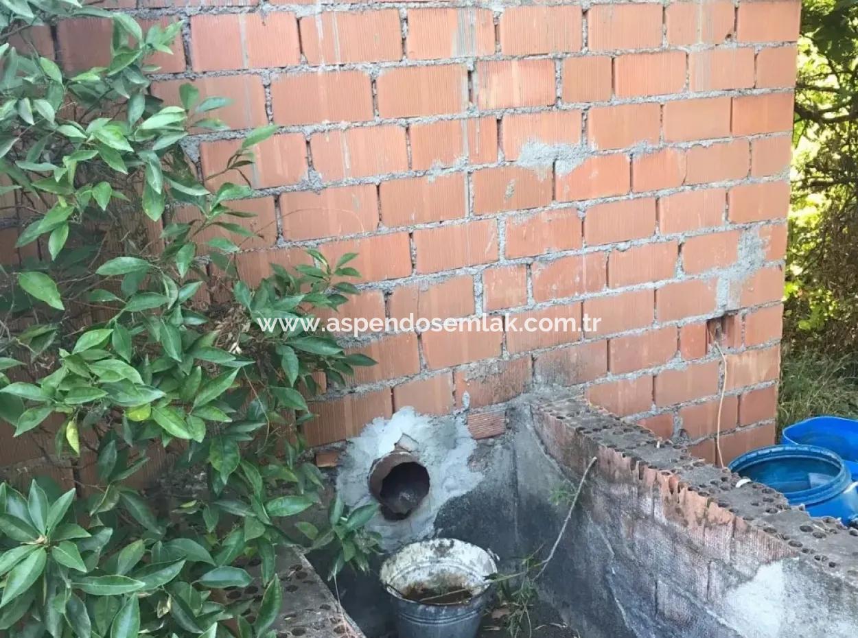 Doğuşbelenden Satılık Bahçe Arsa Köyceğiz Döğüşbelende Satılık Narence Bahçesi