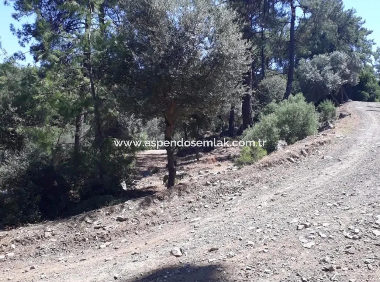 Çandır Satılık Arsa Çandır İztuzudaya Yakın 2367M2 Satılık 2B