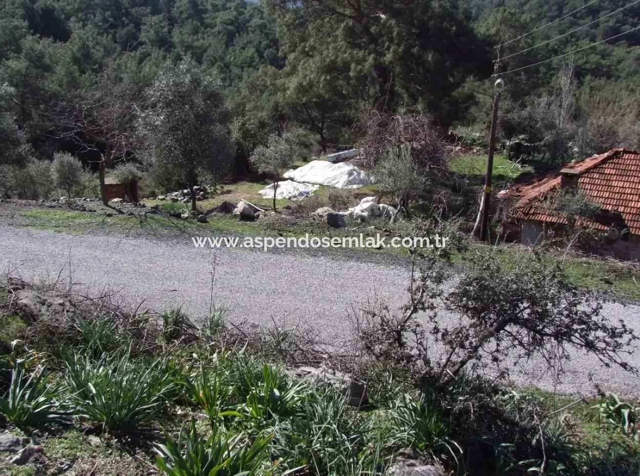 Gökbelde Satılık Tarla Arsadeniz Manzaralı Satılık Arsa