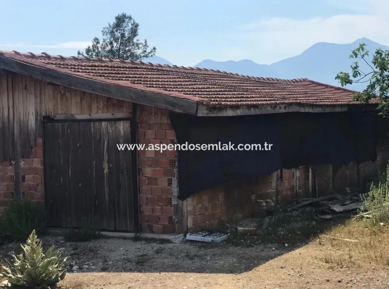 Seydikemer Korubükün Satılık 76000M2 Ciftlik Arazisi