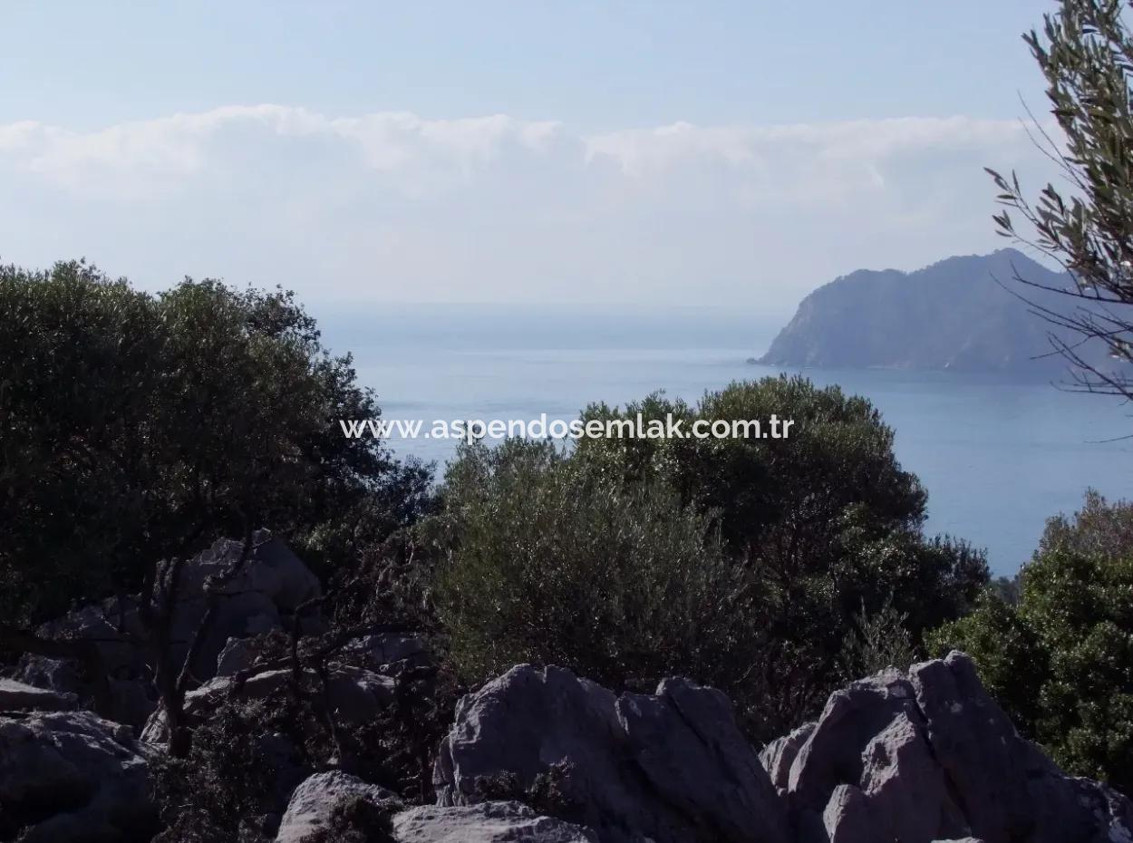 Çandır Deniz Manzaralı 5367M2 Tarla Arsa Satılık