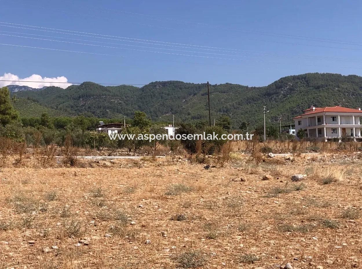 Köyceğiz Zeytinalanı'nda Göl Manzaralı 11.227M2 Satılık Arsa