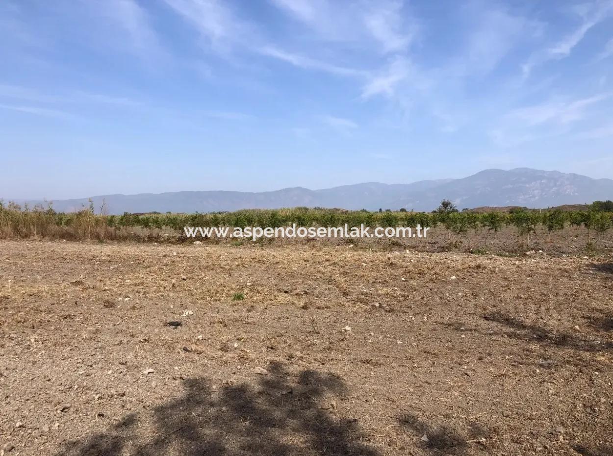 Esköyde Satılık Tarla Arsa 8500M2 Satılık Tarla Arsa