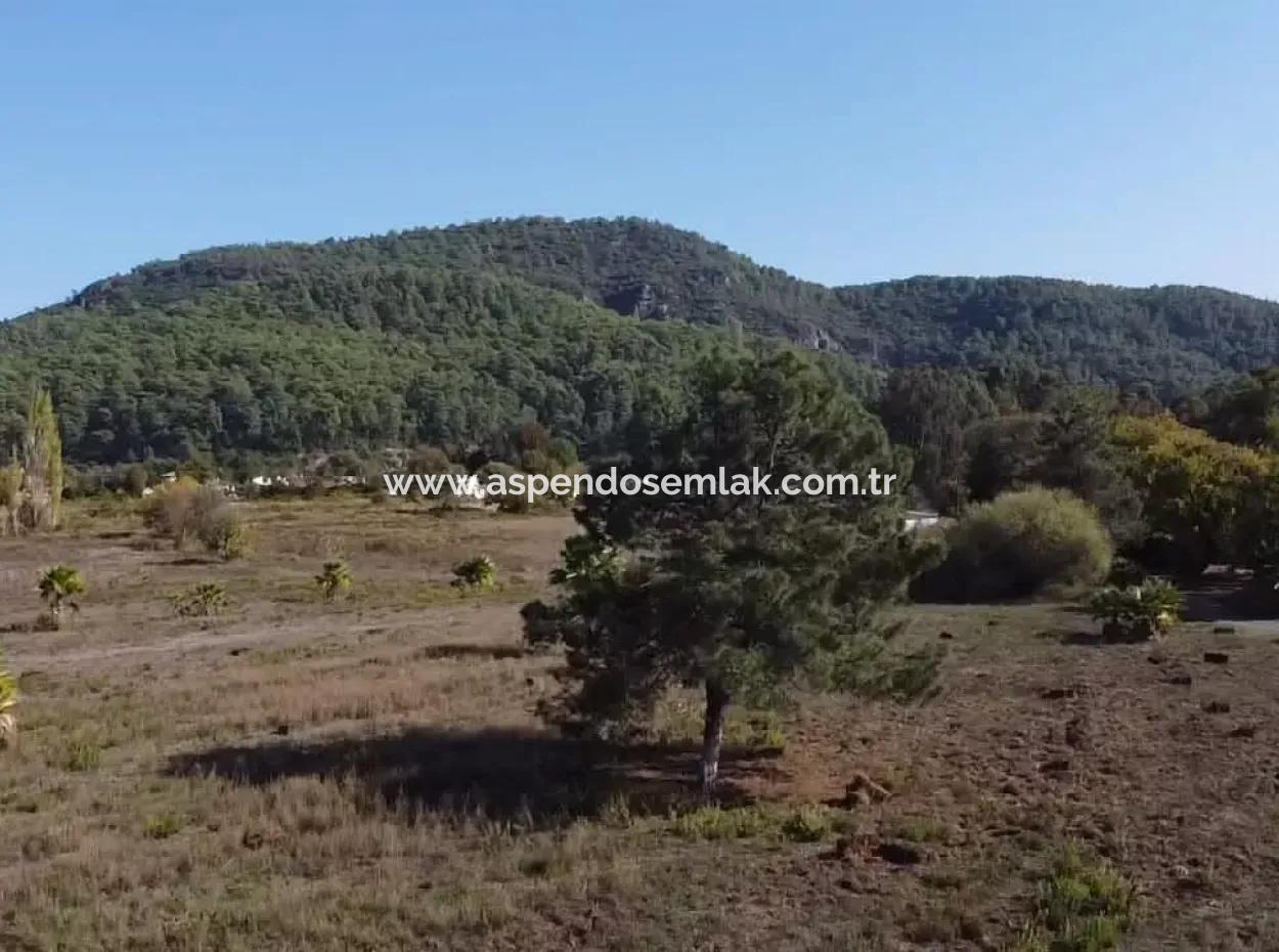 Çamlıda Satılık Arsa Arazi Marmaris Çamlıda Deniz Manzaralı 11720M2 Satılık Arsa