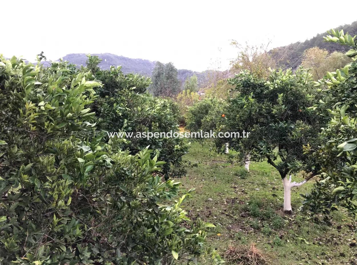 Okçular'da 1222M2 Arsa İçerisinde Satılık Tek Katlı Müstakil Ev