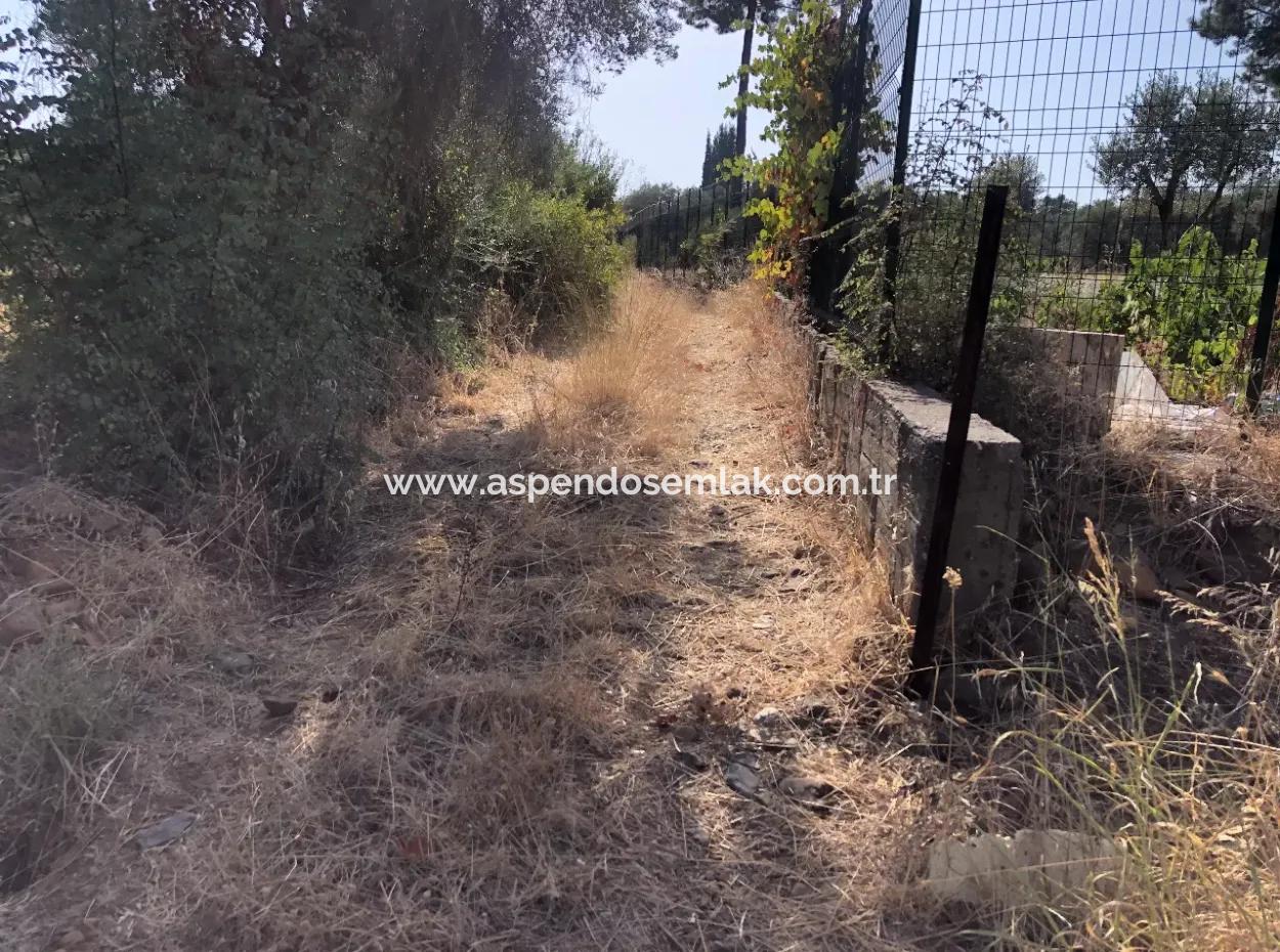 Köyceğiz Yangı'da Satılık Arsa Tarla 9406M2 Satılık Arsa