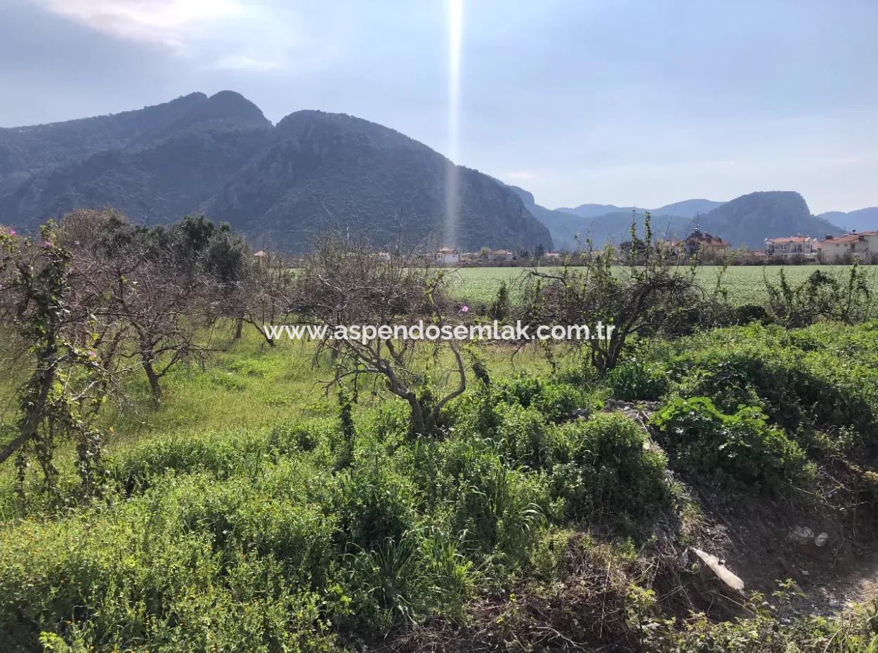 Dalyan'da 5500M2 Satılık Arsa