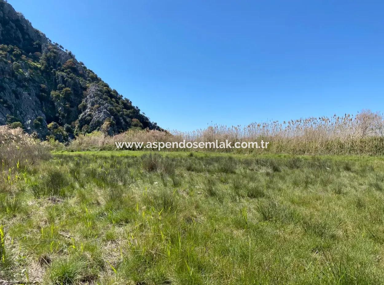 Dalyan'da 9310M2 Satılık Arsa