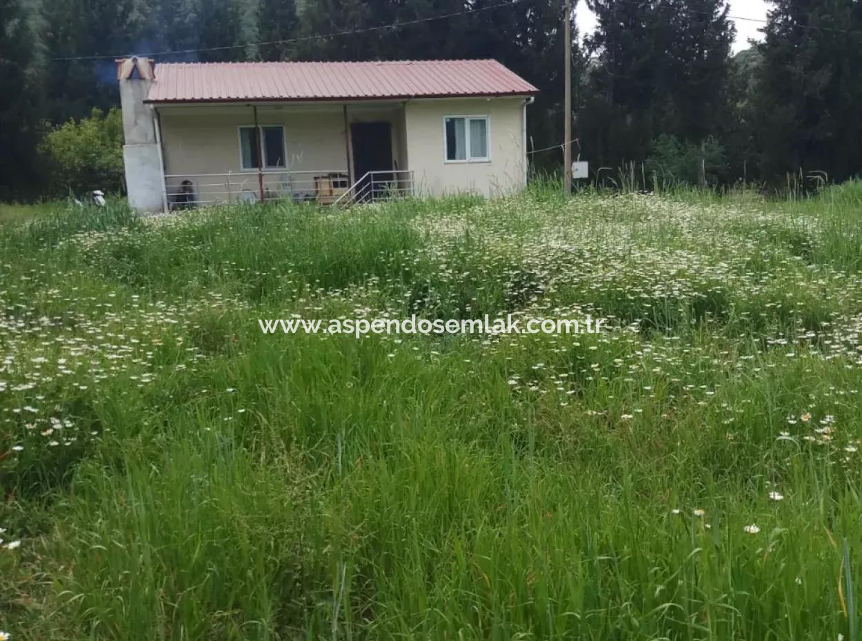 Çamlida  Satılık Arsa 11516M2 Satlık Bahçe