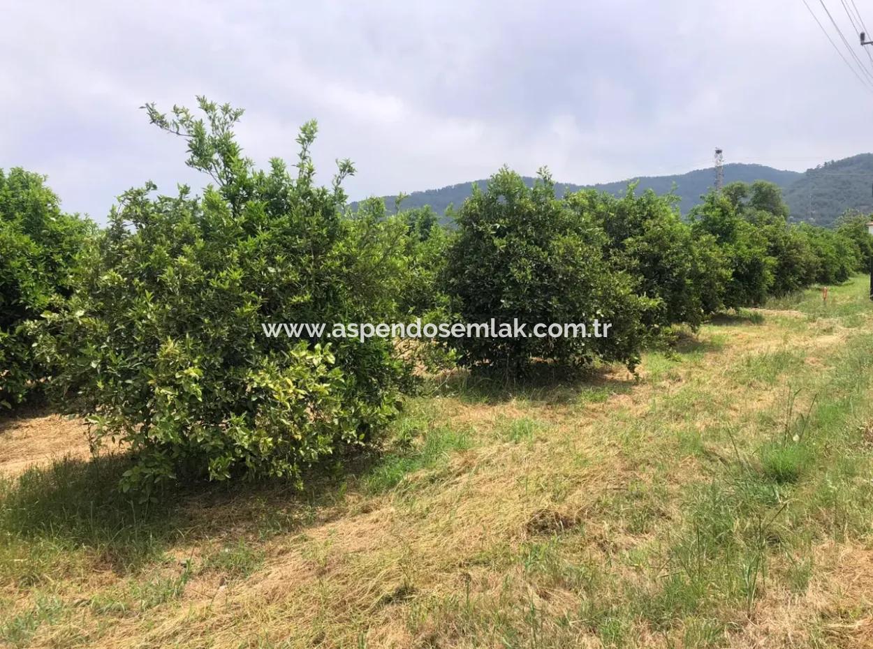 Ekşiliyurtda 1085M2 Satılık Arsa