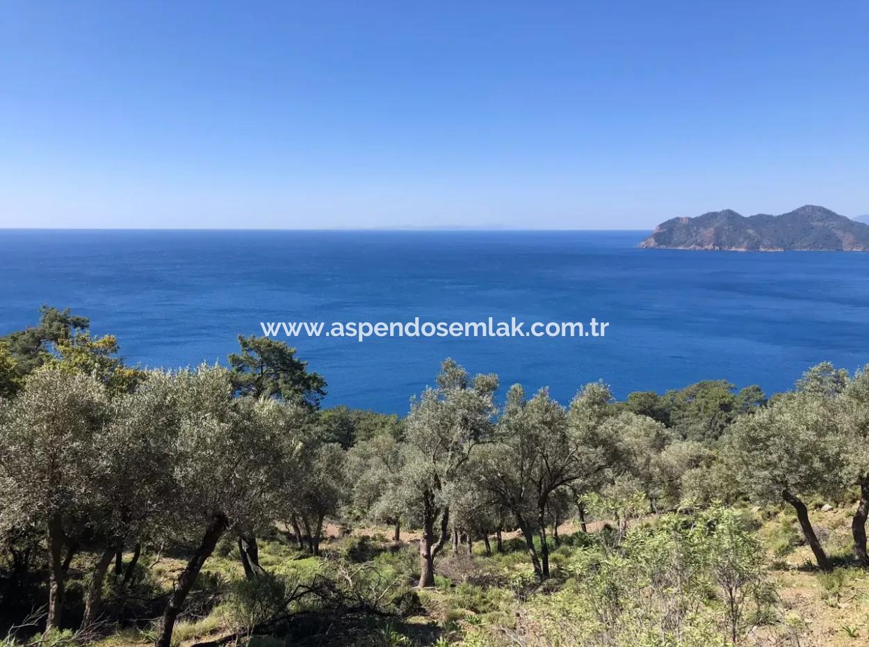 Çandır'da Deniz Manzaralı Satılık Arazi