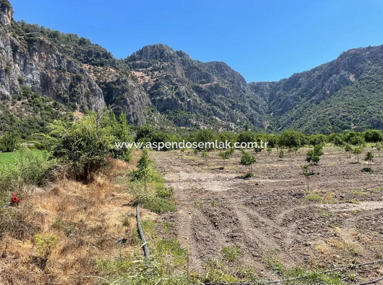 Okçular Marmarlı'da 6500M2 Satılık Arsa