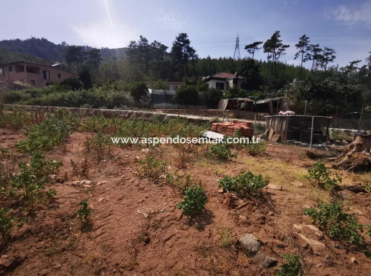 Marmaris Çamlı Satılık 1245M2 İmarlı Arsa