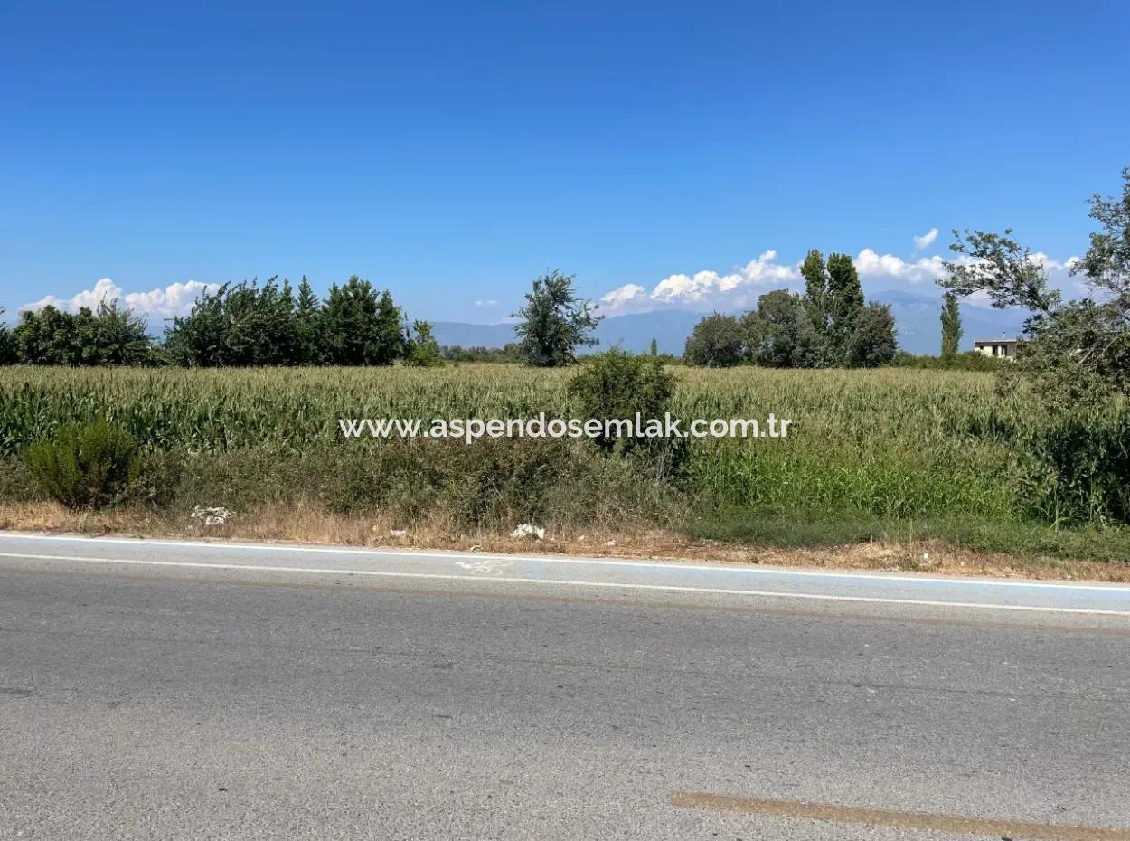 Dalyan Ana Yola Sıfır Satılık 8115M2 Ticari Satılık Arsa