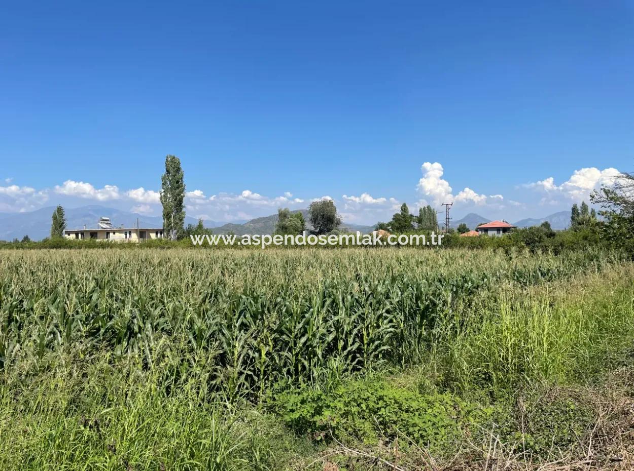 Dalyan Ana Yola Sıfır Satılık 8115M2 Ticari Satılık Arsa