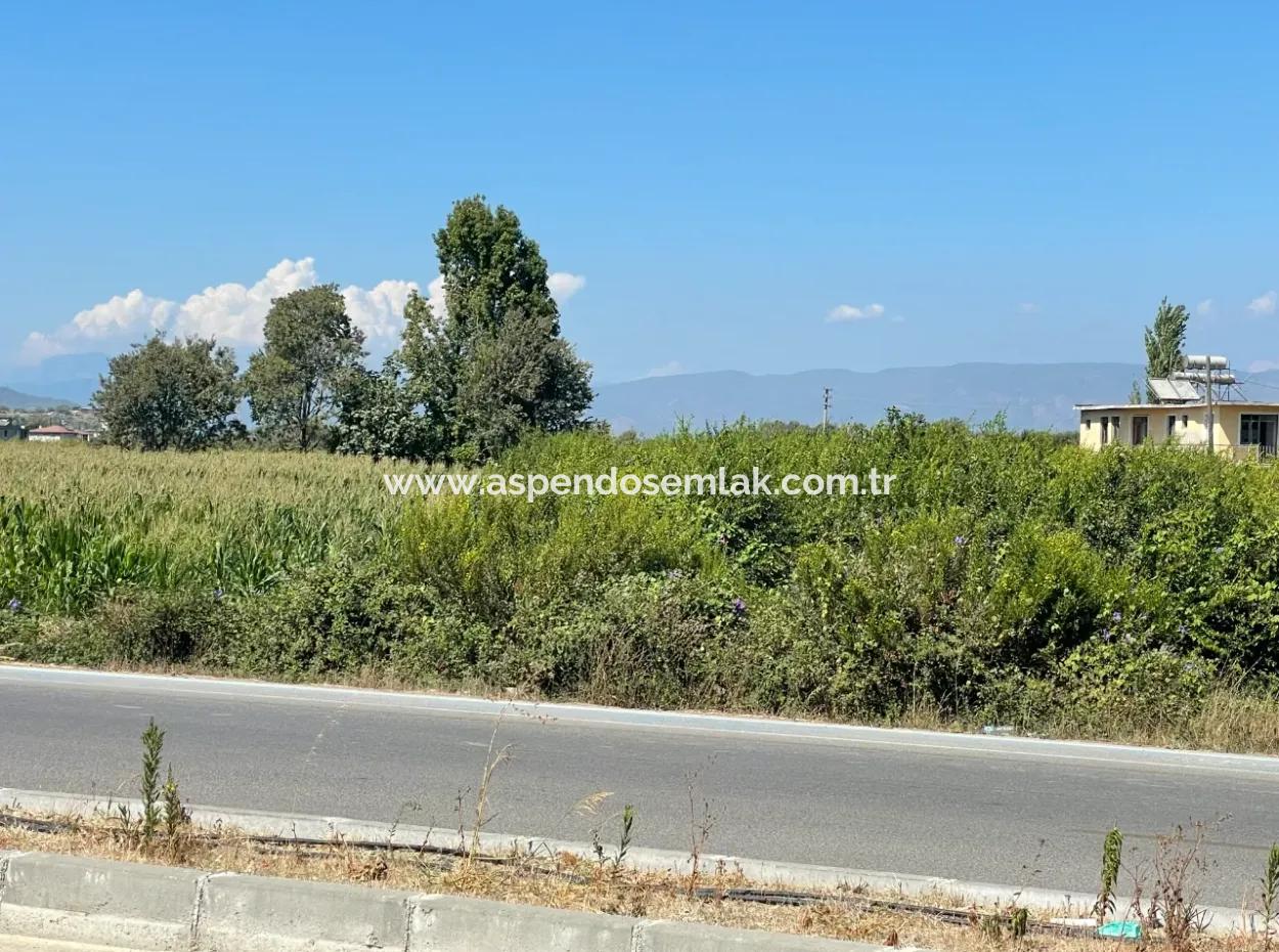 Dalyan Ana Yola Sıfır Satılık 8115M2 Ticari Satılık Arsa