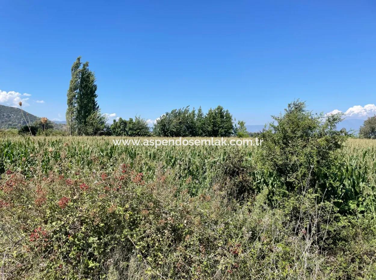 Dalyan Ana Yola Sıfır Satılık 8115M2 Ticari Satılık Arsa