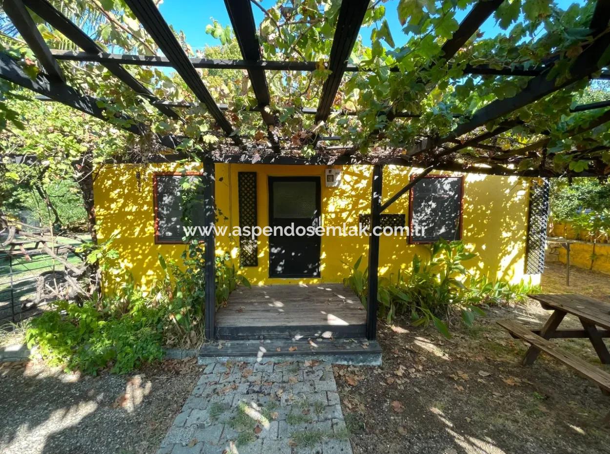 Dalyan 519M2 Satılık Arsa