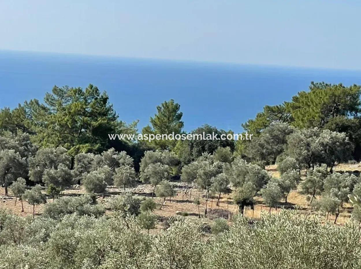 Çandır Deniz Manzaralı Satılık Tarla Arsa