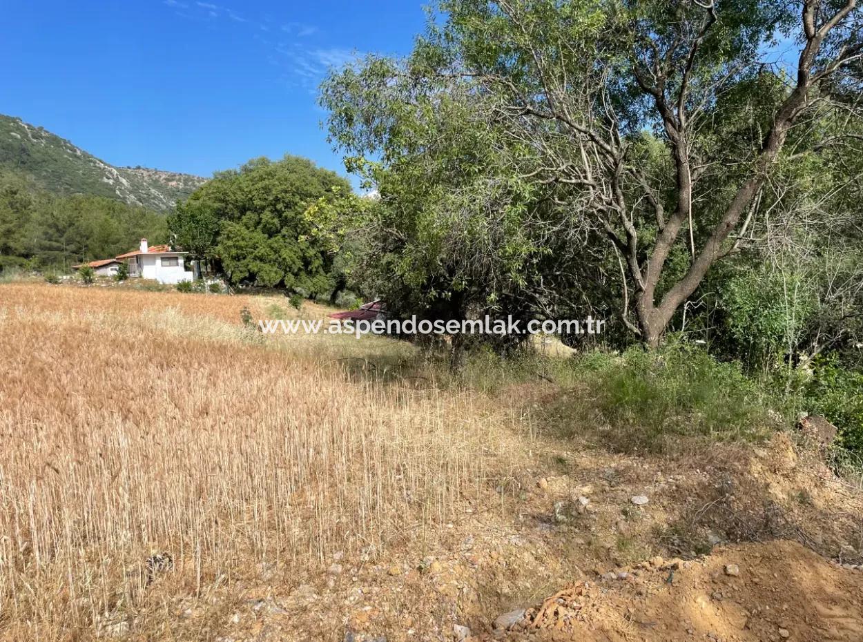 Ula Armutçuk Da 501M2 İmarlı Satılık Arsa