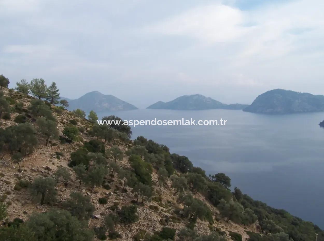 Sarsalada Deniz Manzaralı 4274M2 Arsa İçinde Satılık Taş Ev