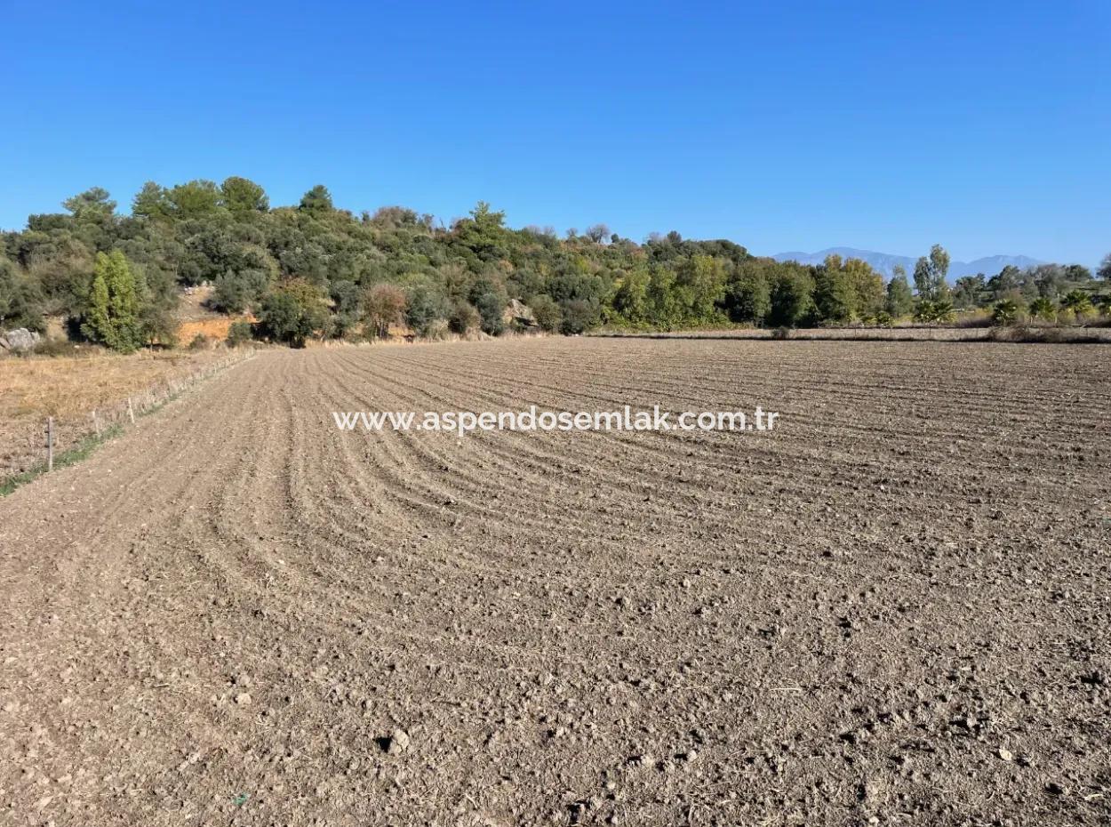 Eskiköyde Dalyan Yakın 6254M2 Satılık Tarla