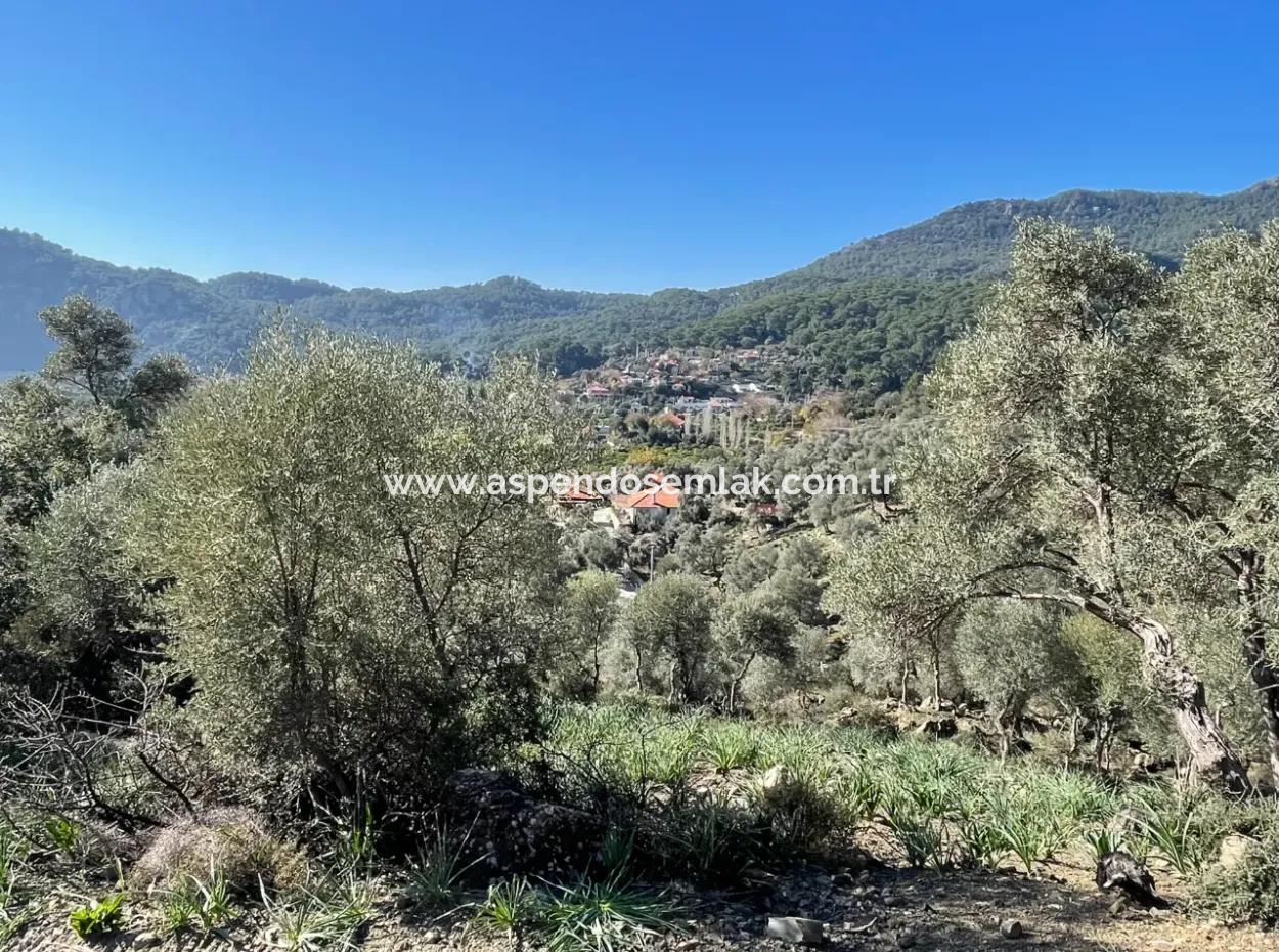 Çandır'da Deniz Ve Göl Manzaralı 950M2 Satılık 2B Tarlası