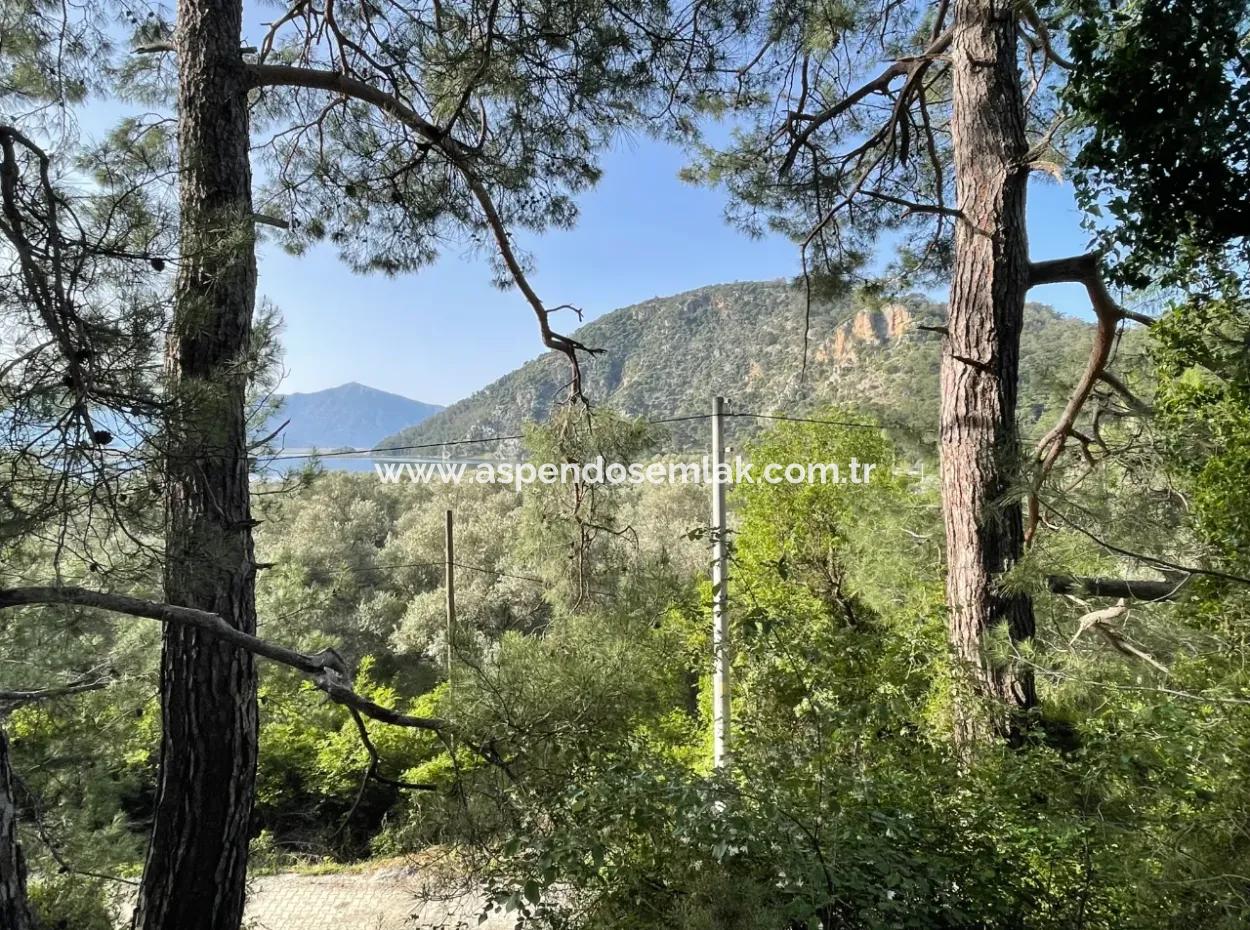 Çandır Göl Manzaralı Satılık 1,136M2 Tarla Arsa