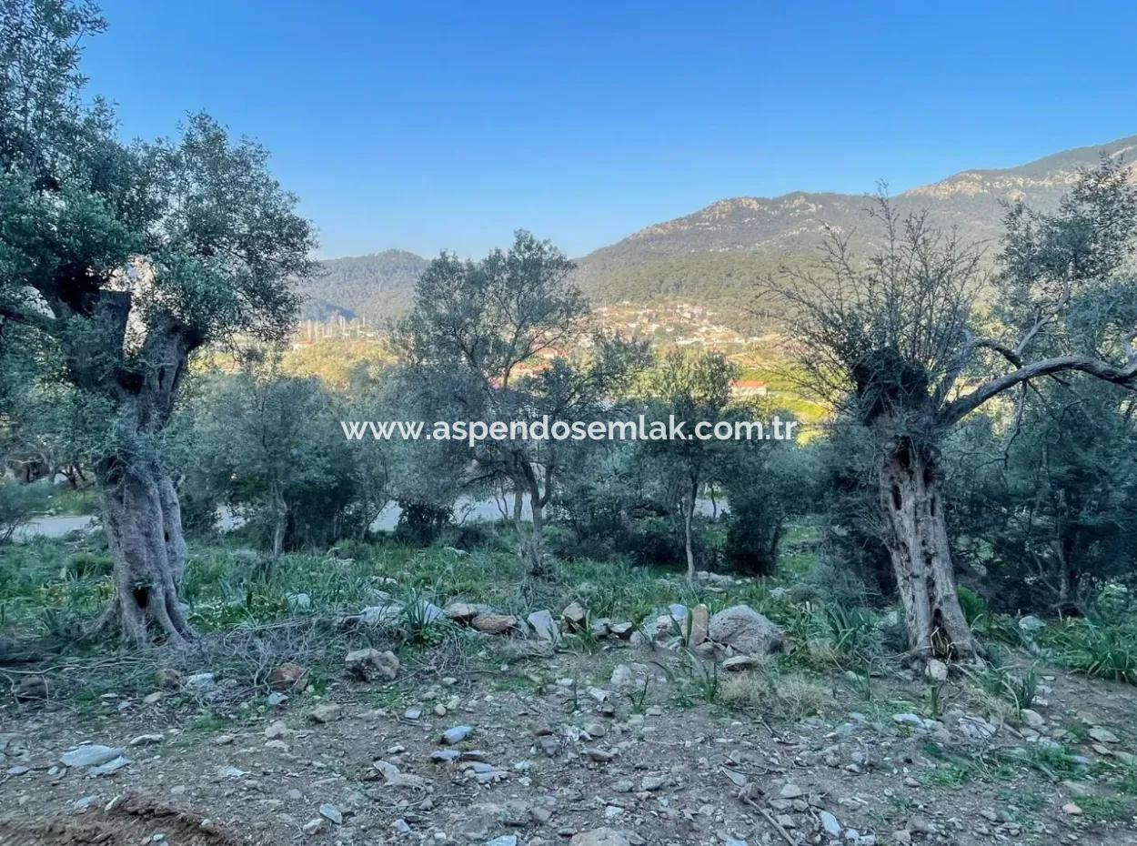 Çandır Göl Deniz Manzaralı 2,806M2 2B Satılık Tarla