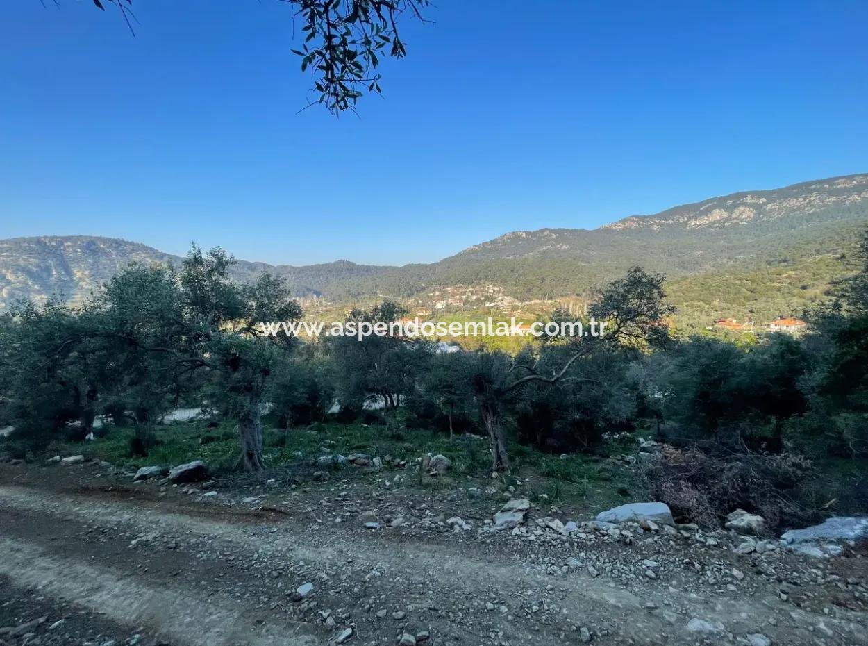 Çandır Göl Deniz Manzaralı 2,806M2 2B Satılık Tarla