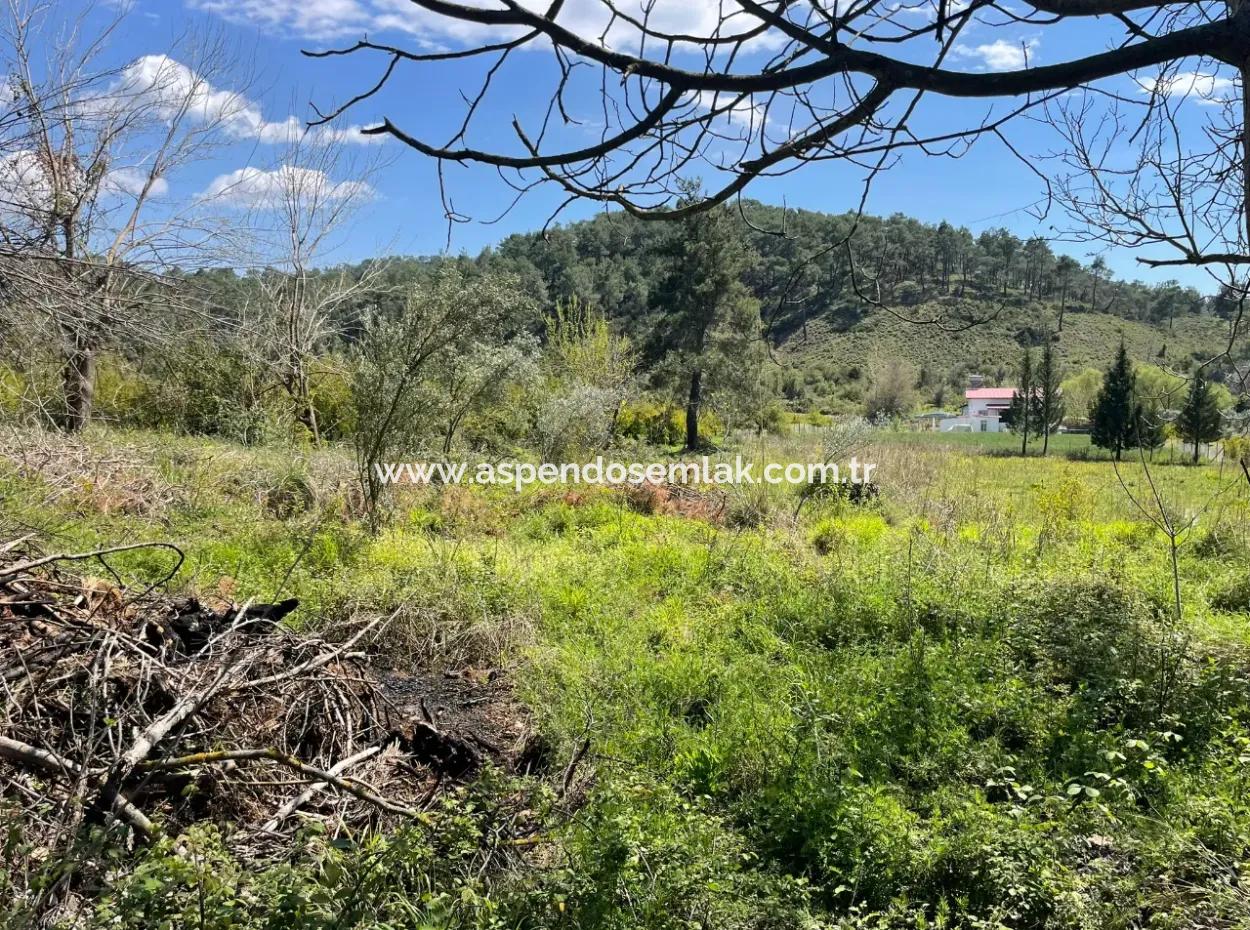 Zeytinalanın'da 5650M2 Tarla İçinde Satılık Köy Evi