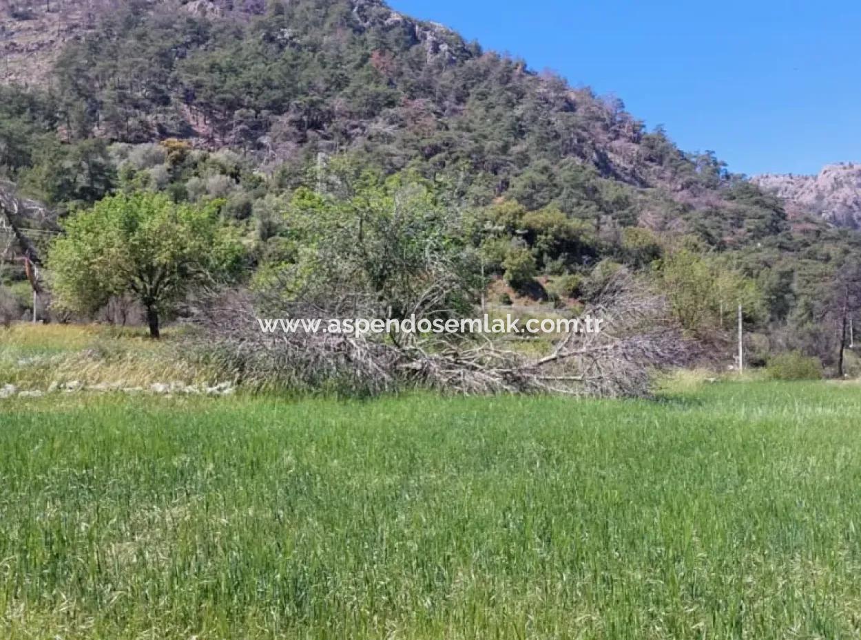 Marmaris Turgut Yatırımlık Satılık 29600M2 Satılık Arazi