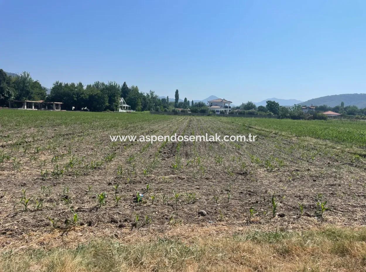 Okçular'da Köy Yerleşik Alanda 2715M2 Satılık Arsa