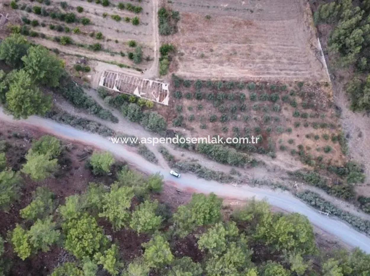 Mergenlide Aşı Koyu Yolu Üzerinde Satılık 3578M2 Tarla