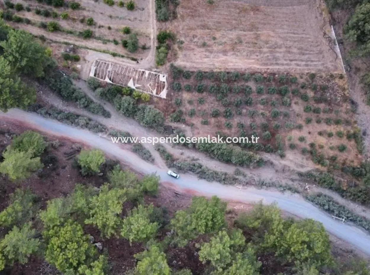 Mergenlide Aşı Koyu Yolu Üzerinde Satılık 3578M2 Tarla