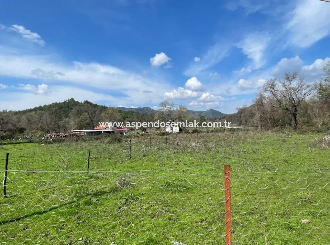 Sultaniye Büyükkaraç Mahallesin Satılık Tarla