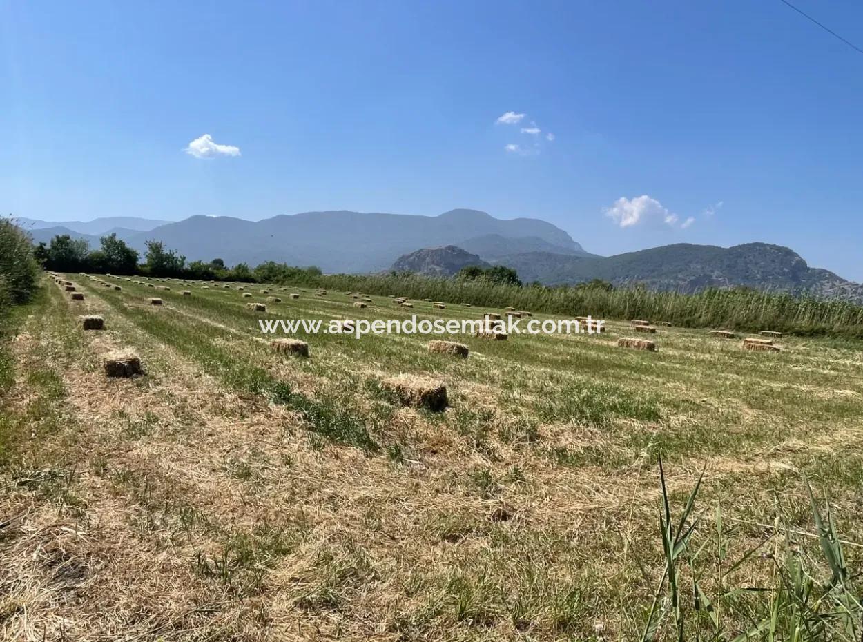 Dalyan'da İztuzu Yoluna Sıfır 6,500M2 Satılık Tarla