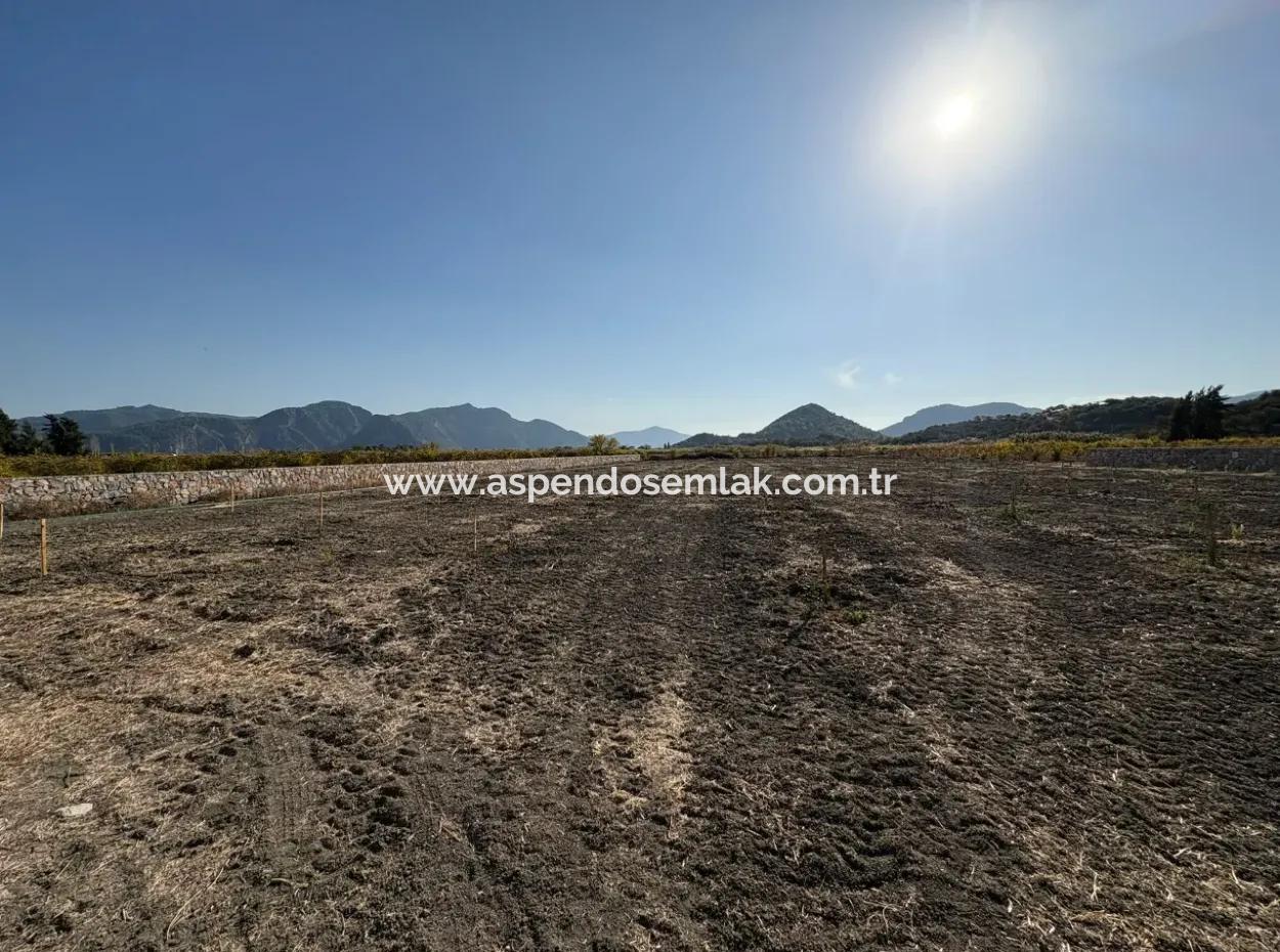 Eskiköy'de 19.663M2 Çiftlik Arazisi Ve Ev Satılıktır